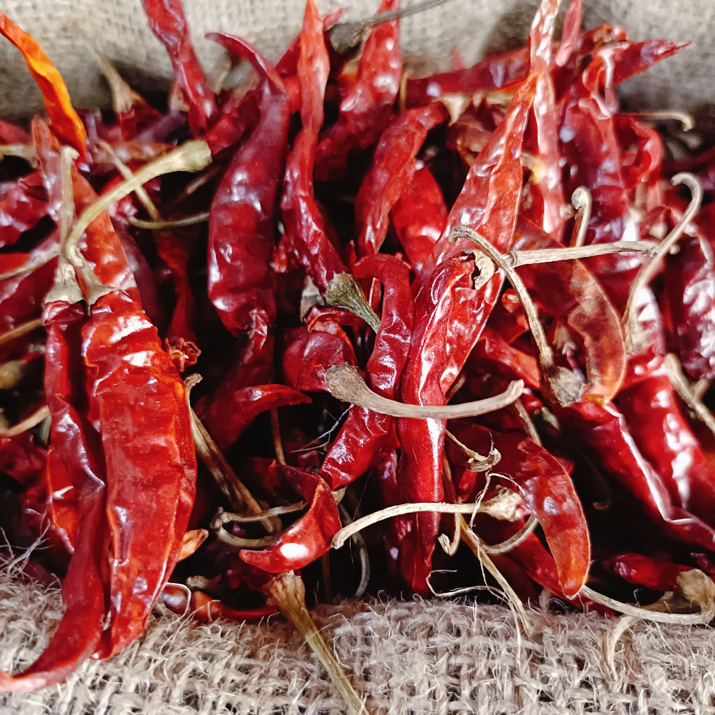 

Cabe Merah Kering Premium 500 Gram – Pedas Alami, Cocok untuk Aneka Masakan