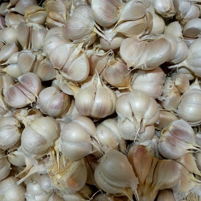 

BAWANG PUTIH KATING 1KG