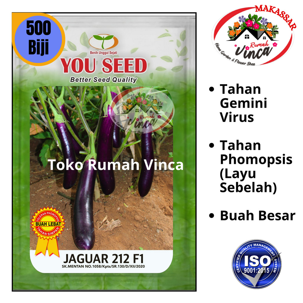 Benih Bibit Terong Ungu JAGUAR 212 F1 Cap Youseed Tahan Virus Tahan Layu Cabang