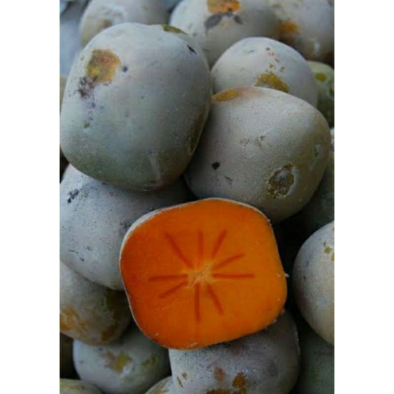 

buah kesemek manis segar 1kg