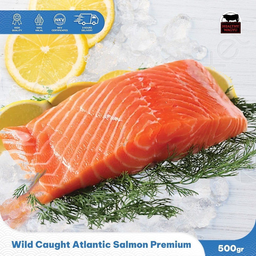 

Wild Caught Atlantic Salmon Premium - Ikan Salmon Atlantic 470-500 Gram HealthyWagyu