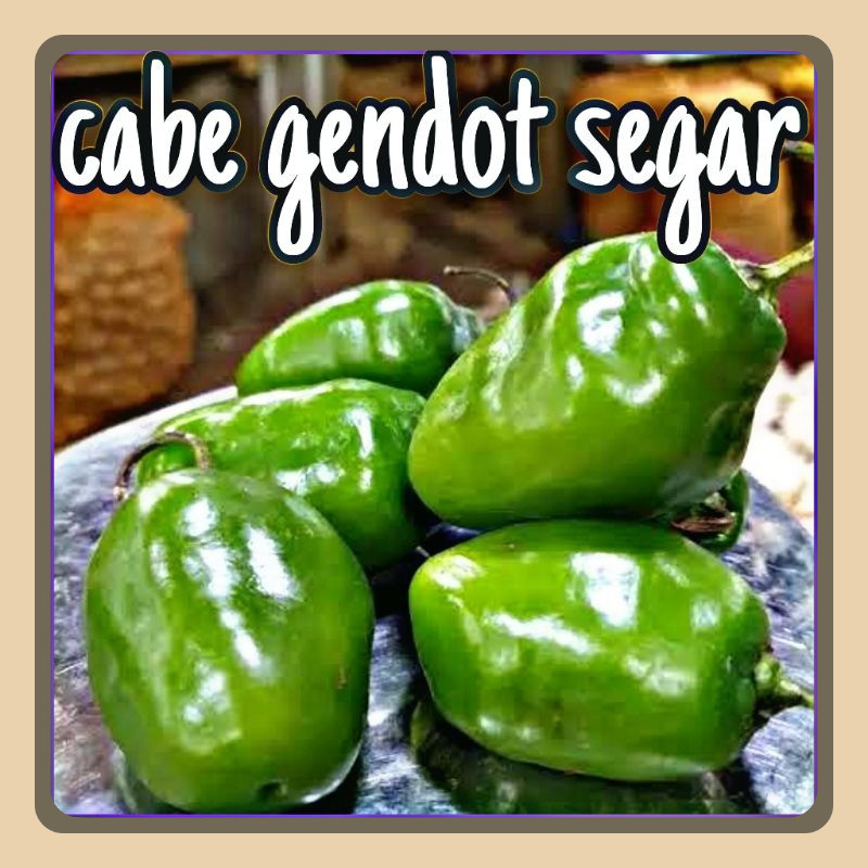 

Cabe Gendot Asli Dieng Segar 1kg Harga Murah