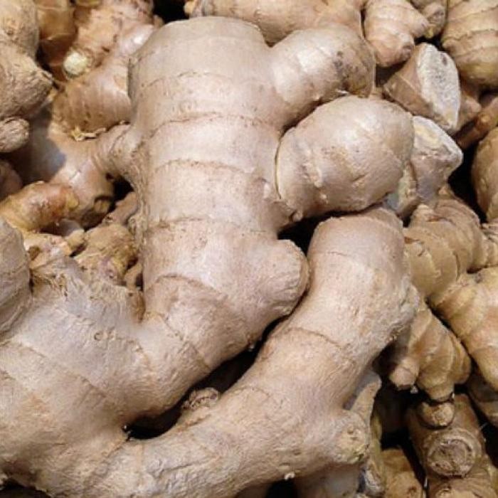 

Jahe Gajah Segar Ginger Fresh 250gr 500gr 1000gr / 1kg Bumbu Dapur Herbal Rempah-rempah Empon-empon Rimpang - 1.000gr / 1kg