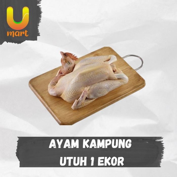 

Ayam Kampung Utuh - 1 Ekor