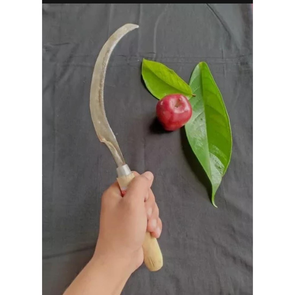 Arit panen padi sabit padi Rumput bergerigi murah kualitas super SABIT PADI