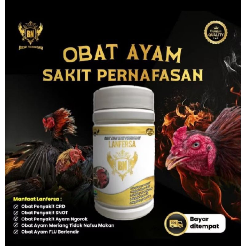 Jamu Ayam Bangkok Responsif LANFERSA 50g Obat herbal sakit ngorok flu snot crd