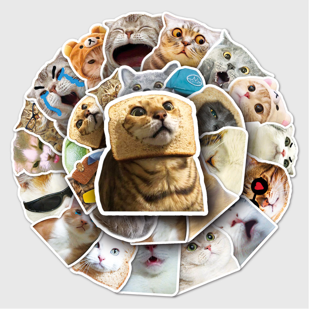 

50 Funny Cat Cartoon Cute Graffiti Stickers Suitcase Laptop Guitar Skateboard Personalized Decoration Stickers