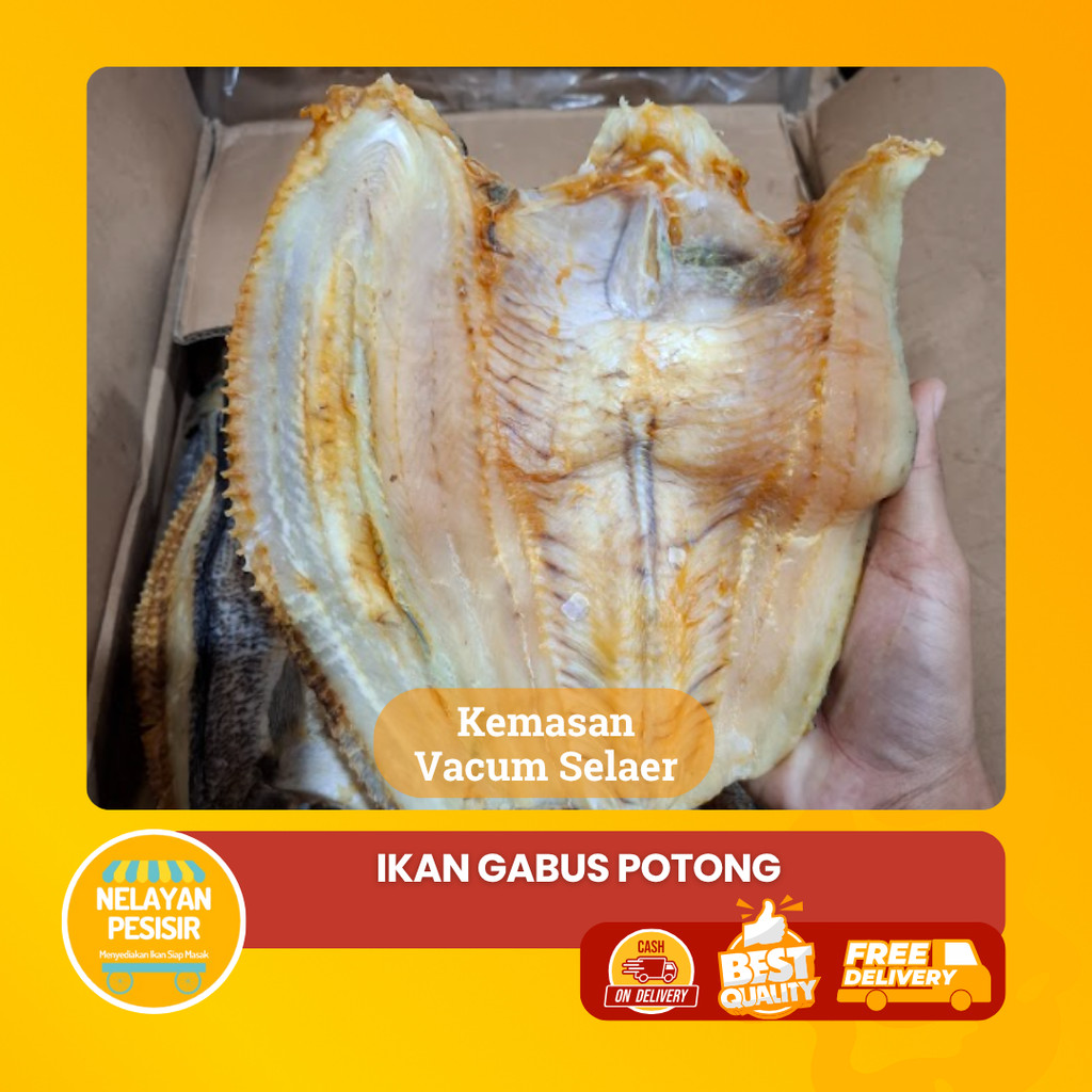 

Ikan Asin Gabus Bloso Belah Kering 1kg Dengan Kemasan Vacum Bisa COD