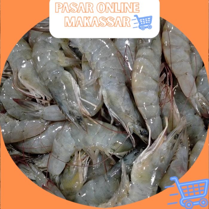 

Udang Vaname / Udang Empang Segar