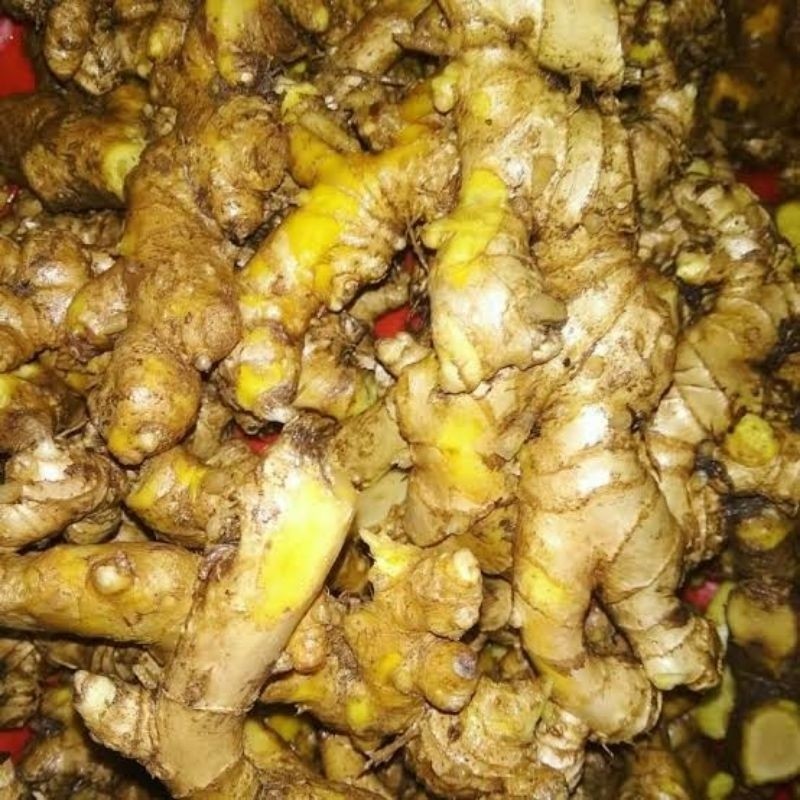 

Ready stok Lempuyang emprit wangi segar organik 1kg