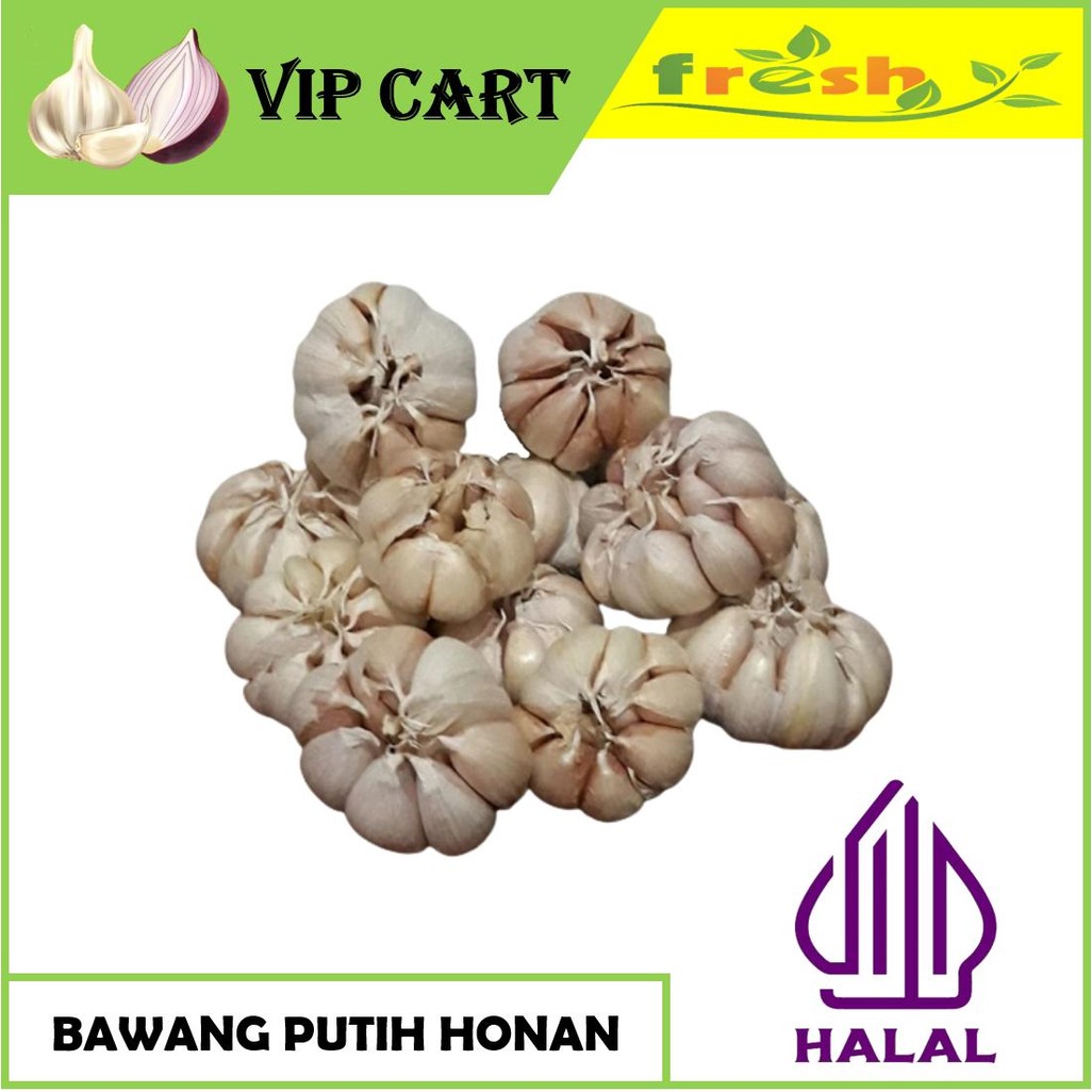 

BAWANG PUTIH HONAN DAN BAWANG PUTIH KATING - BAWANG FRESH