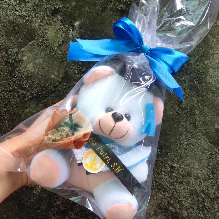 RAZZ boneka beruang wisuda kecil - Putih
