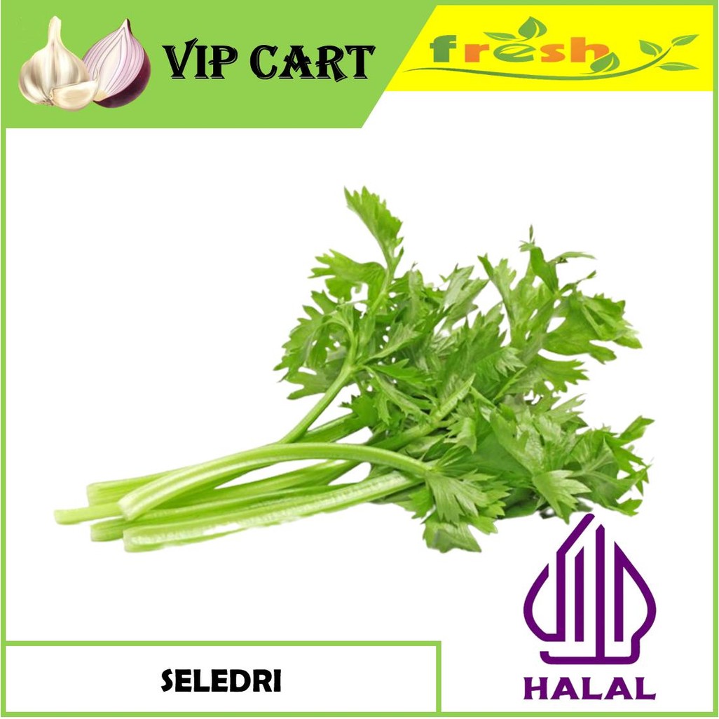 

DAUN SELEDRI SEGAR - VIP SAYUR
