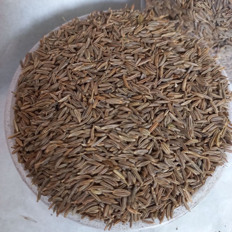 

MURAH Jinten Masak/Adas Masakan100 Gr