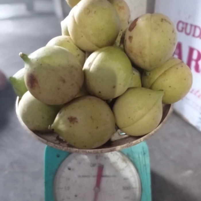 

manisan buah pala segar 1kg