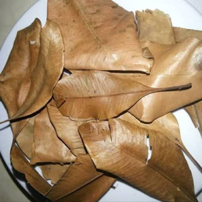 

Daun Cengkeh Kering 250gr / Daun Cengkeh Kering Kualitas Terbaik / Daun Cengkeh Asli Gunung