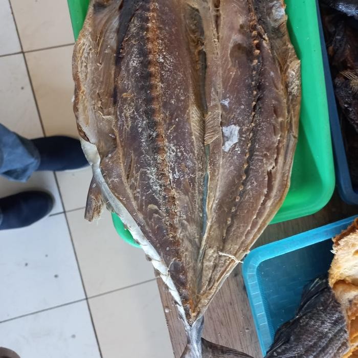 

Ikan Asin Tongkol 250gr