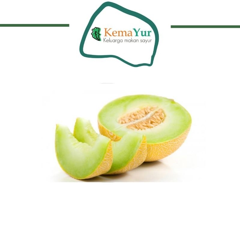 

MELON 1 BUAH