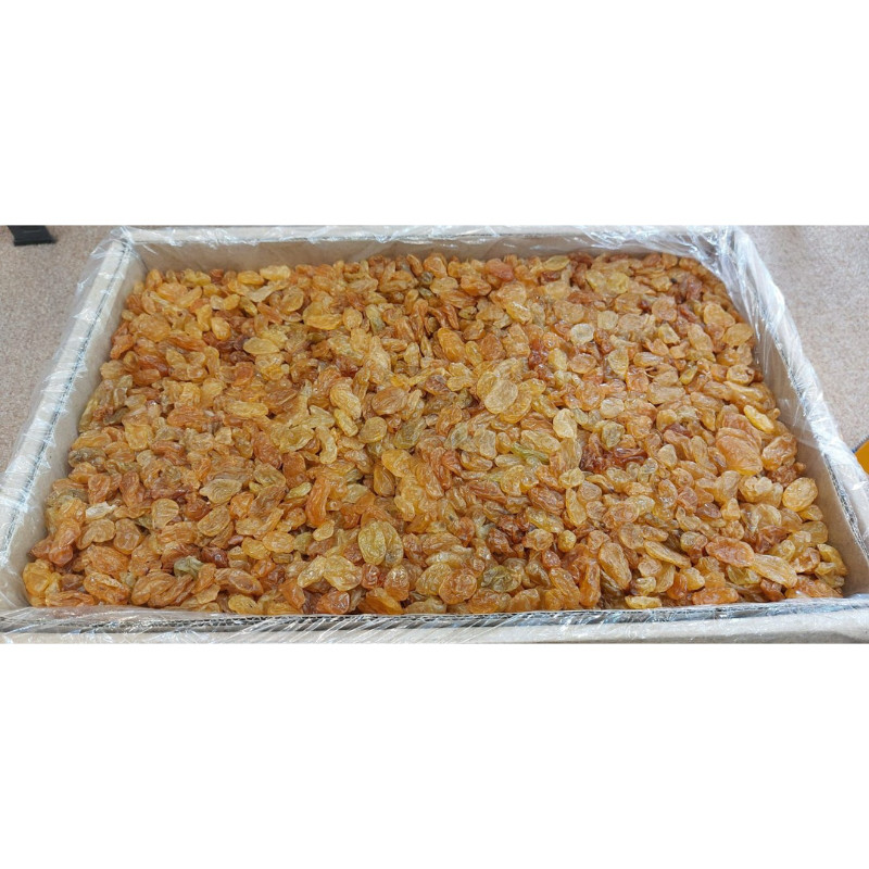 

Kismis Golden Raisin Asam Manis 10kg Dus