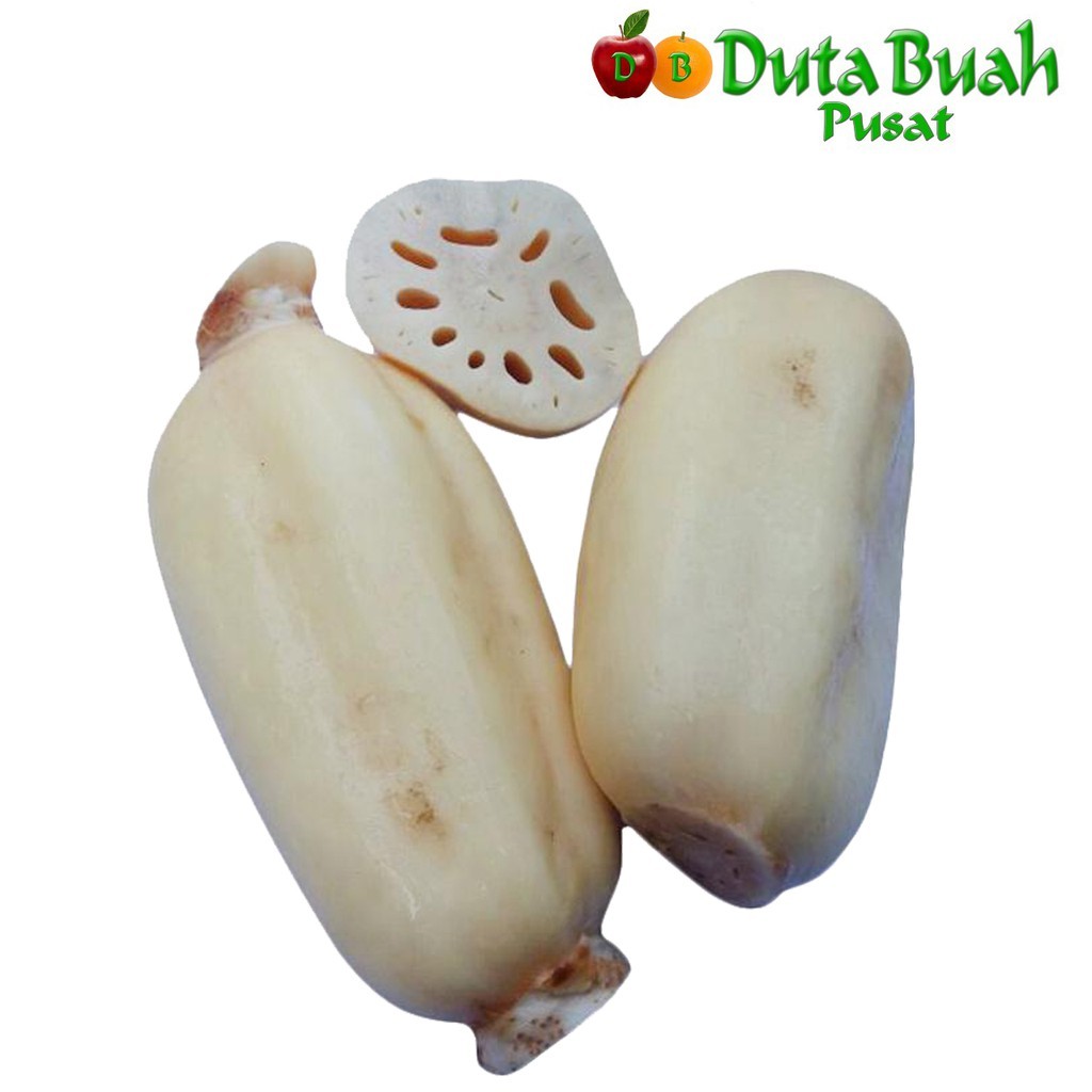 

DUTA BUAH Akar Teratai (900g-1kg)