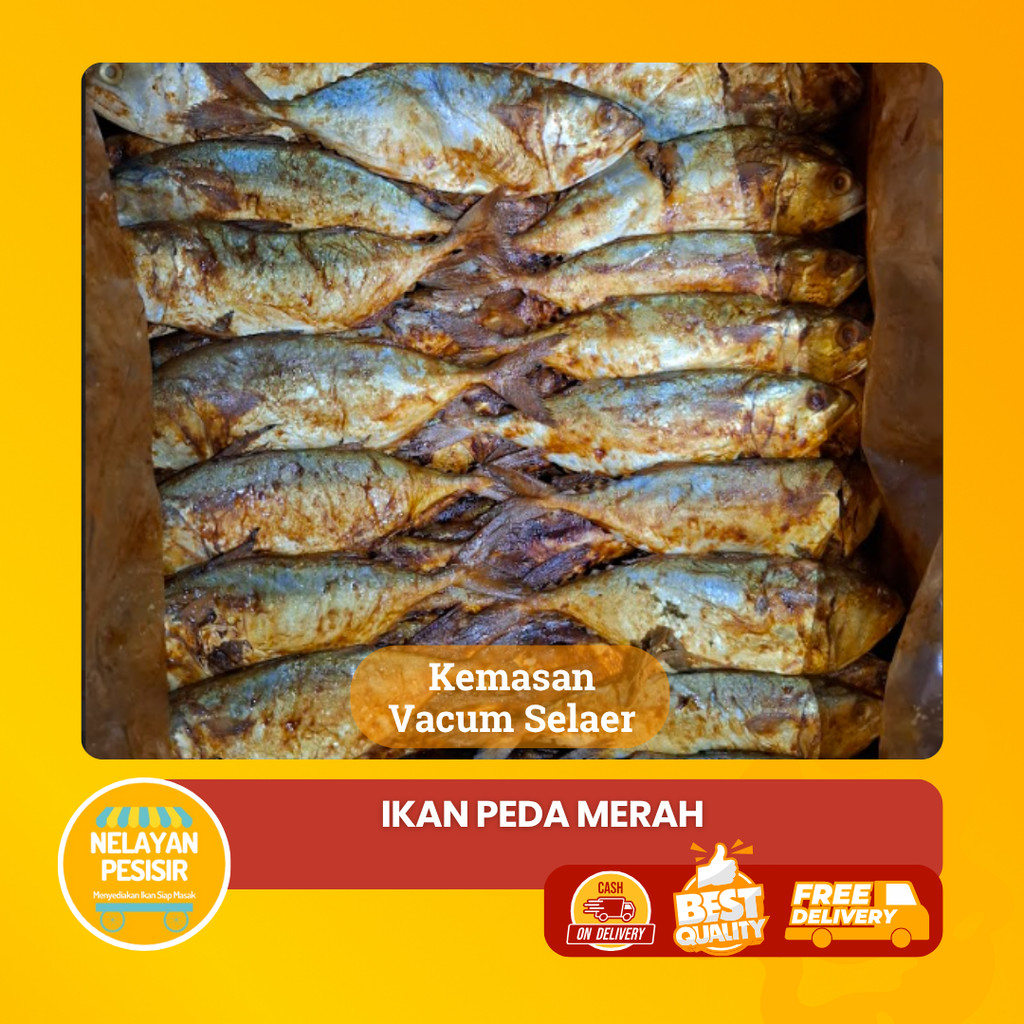 

Peda Merah Ikan Asin Kembung Kualitas Premium Tidak Amis