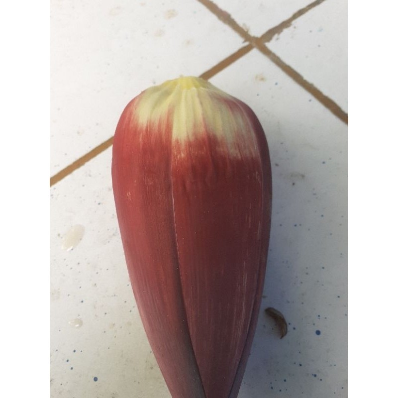 

Jantung pisang sgar' 1 pcs jantung satyur .