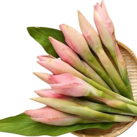 

READY BUNGA KECOMBRANG 500 GRAM ready