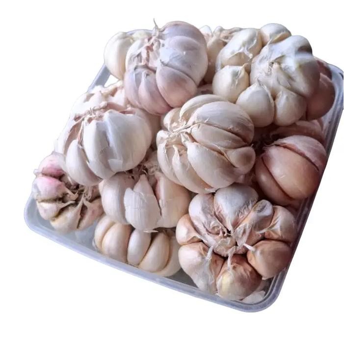 

Bawang putih Sinco 1 kg Bumbu Masak