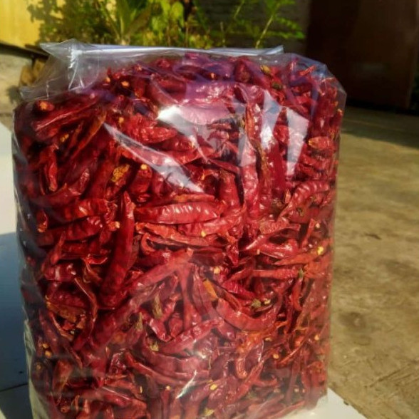 

Cabe Merah Kering Premium 250gr | Tanpa Tangkai | Pedas Alami | Kemasan Vakum