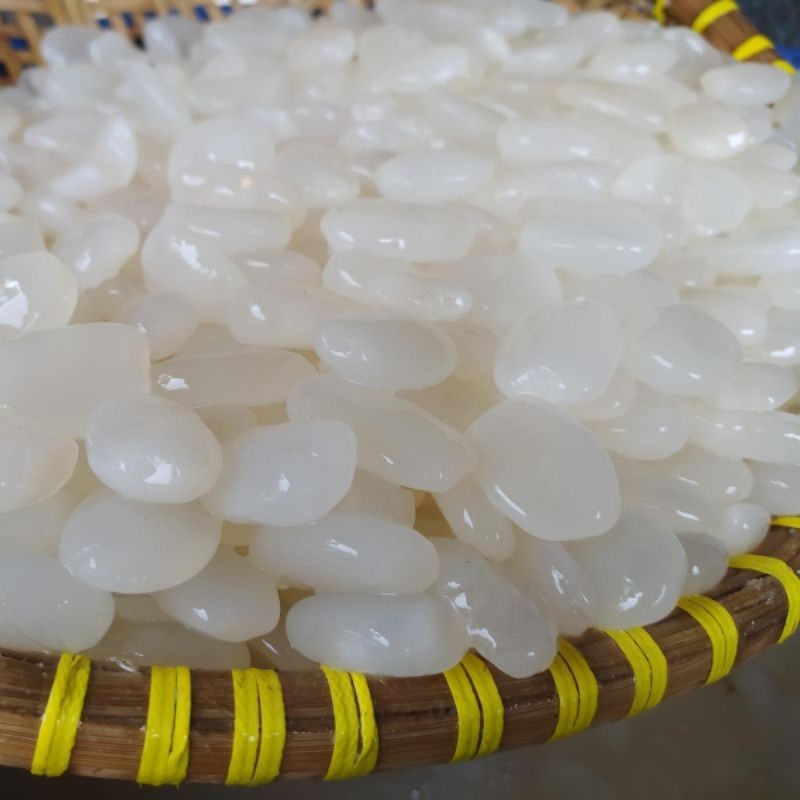 

BIG PROMO Kolang Kaling Kemasan Istimewa Super 1kg kolang Kaling segar Putih Bersih Bahan Membuat Manisan ready