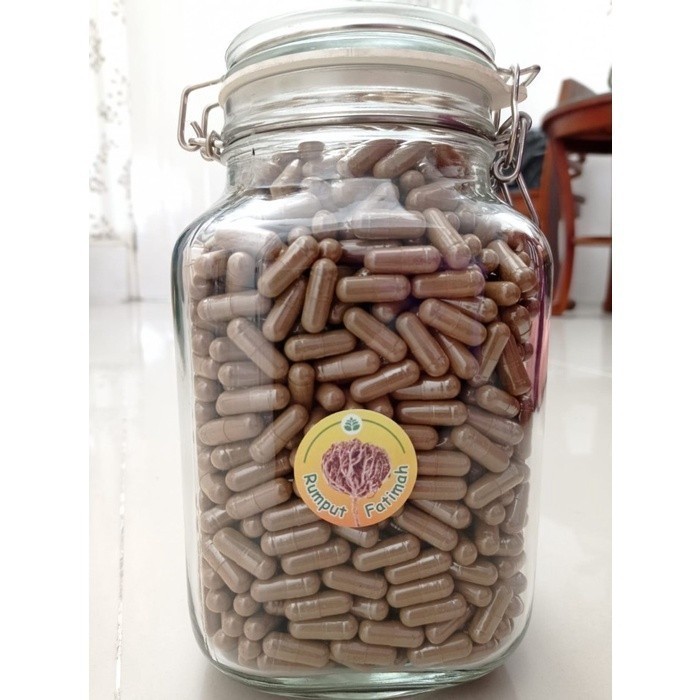 

Rumput Fatimah Asli Timur Tengah