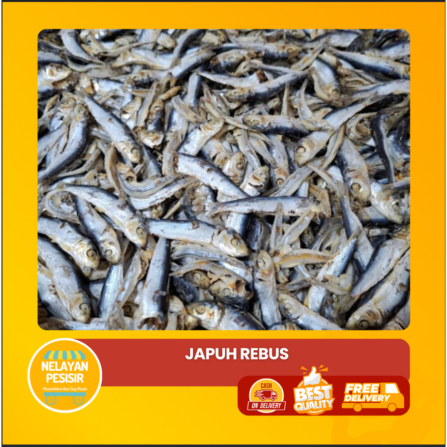 

Ikan Japu Layang Asin Rebus Pilihan Enak Gurih Tahan Lama Cocok untuk Sambal atau Tumis