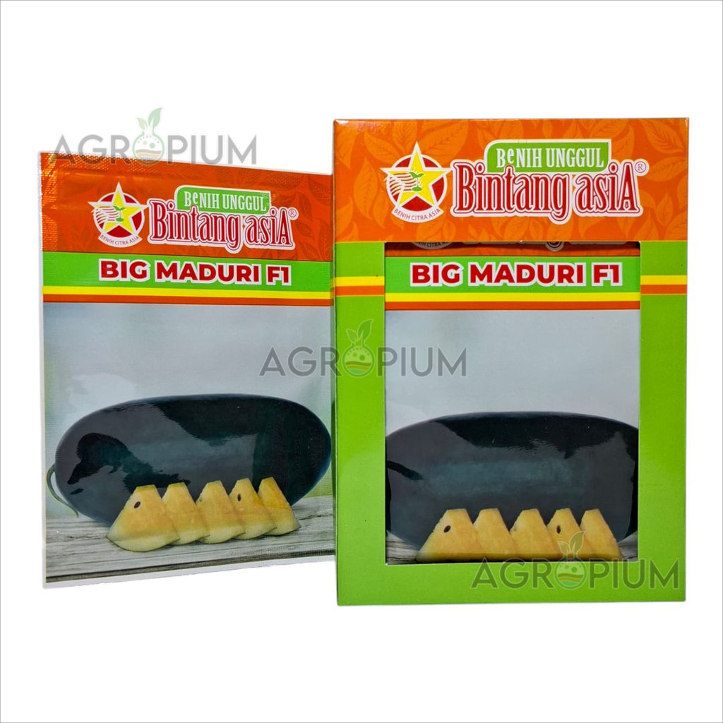 Benih Semangka Kuning BIG MADURI 20gr Bintang Asia