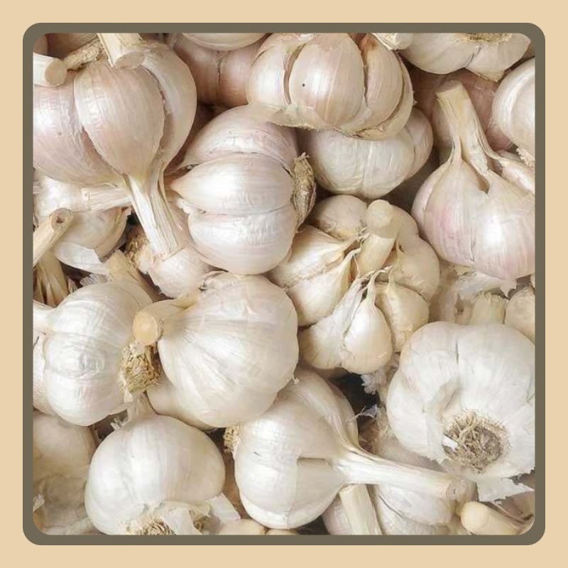 

BAWANG PUTIH KATING SEDAP 500GR ,BAWANG SUPER BUMBU MASAK