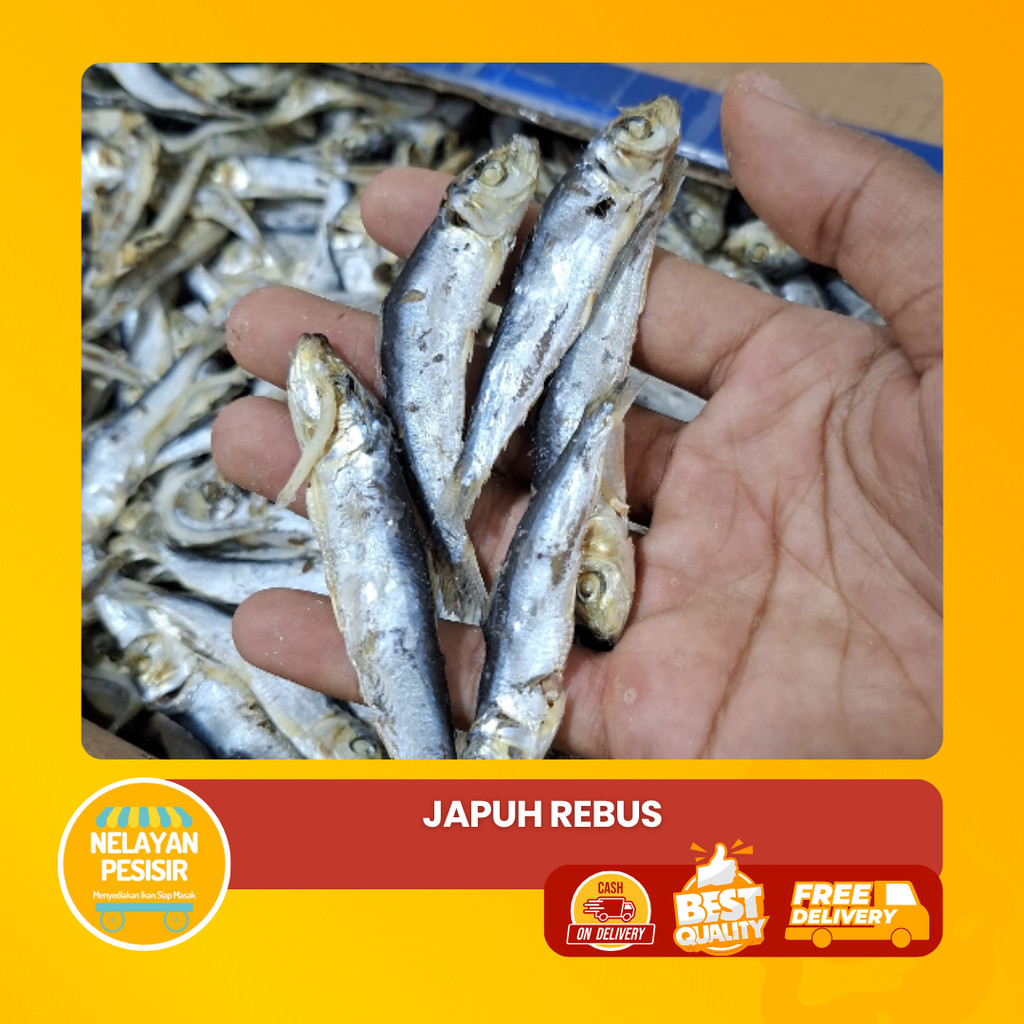 

Asin Rebus Ikan Layang Japu Matang Kualitas Terbaik Rasa Gurih Khas Laut