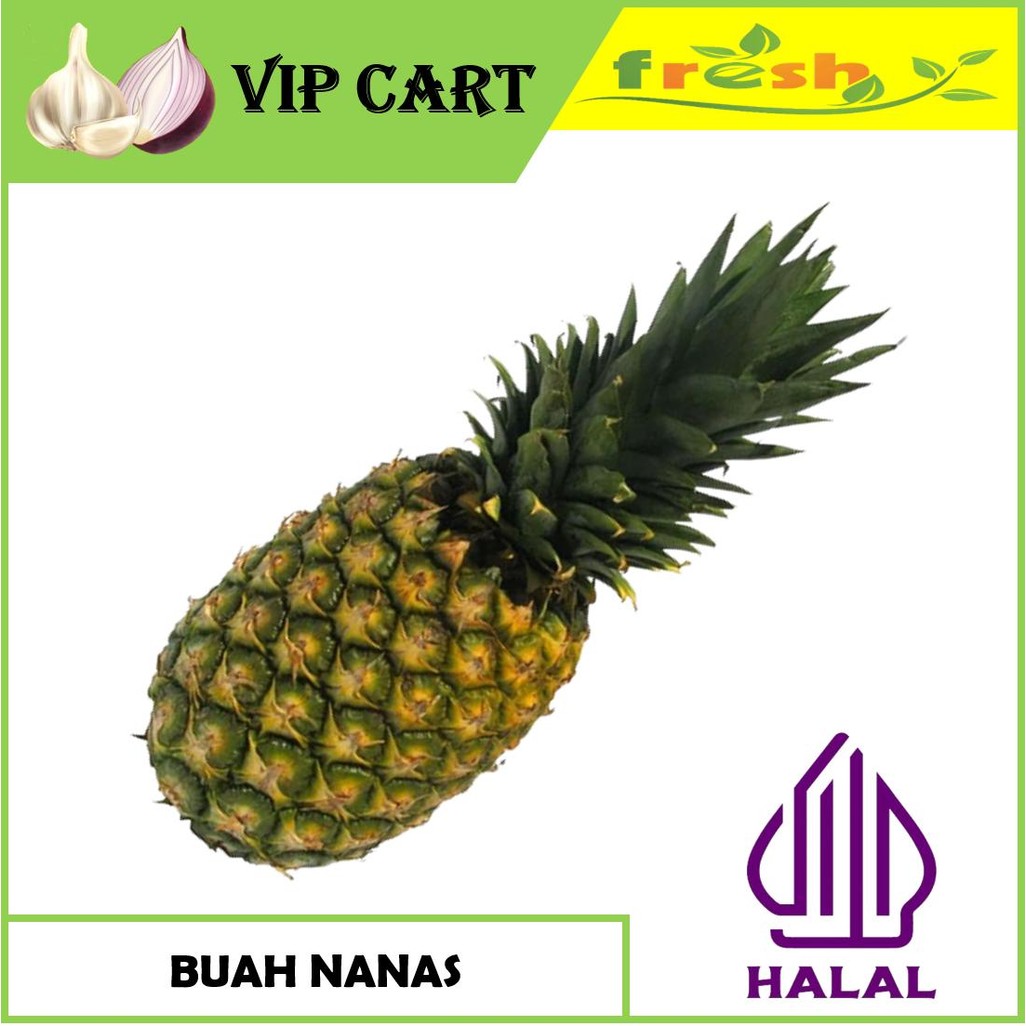 

BUAH NANAS FRESH - BUAH SEGAR