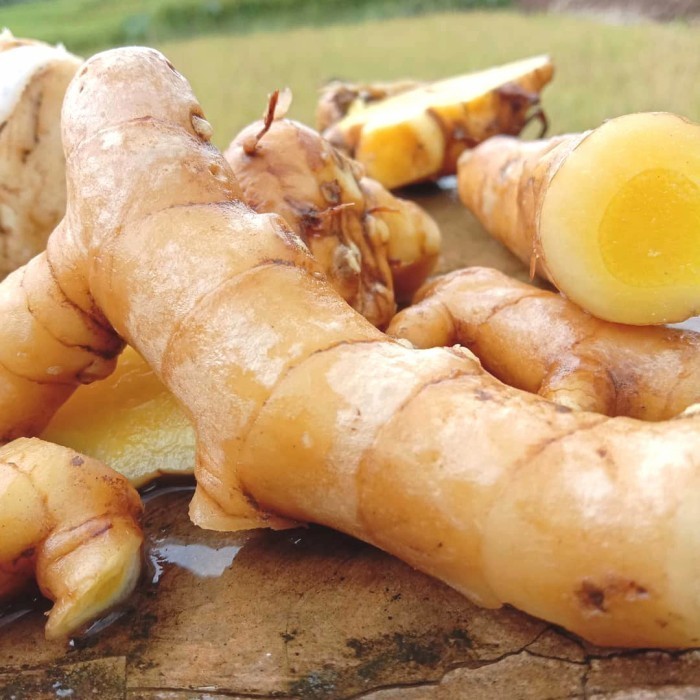 

Temu mangga fresh segar curcuma mangga (1kg)