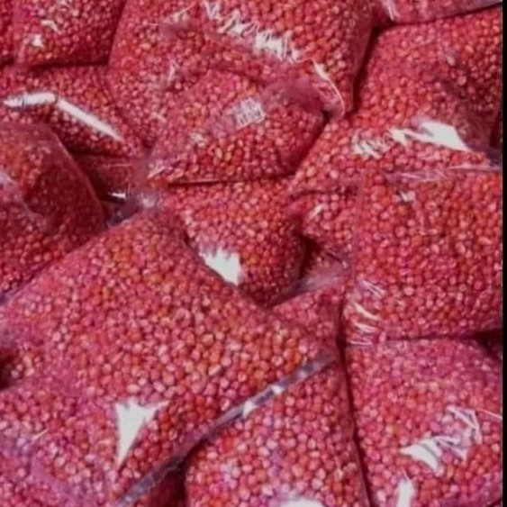 

BENIH JAGUNG SIAP TANAM SUMO,PERKASA,P27,P21,18,JAGO,PERKASA,212,1KG SIAP TANAM