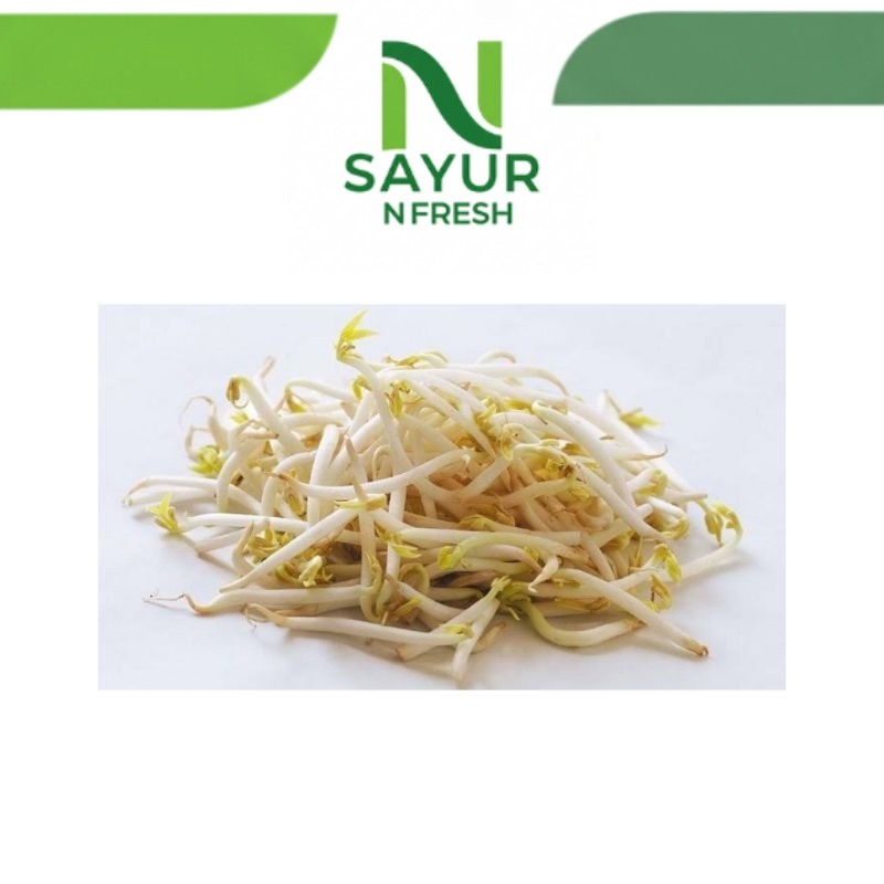 

TAUGE TOGE PANJANG FRESH 250GR