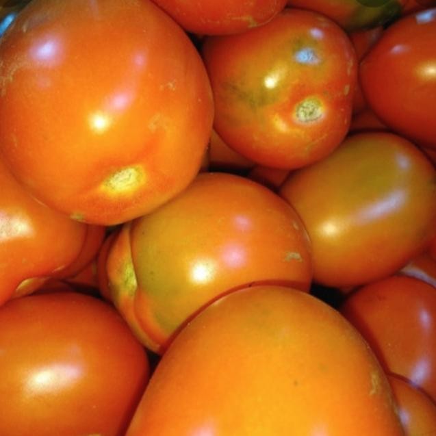 

Tomat Besar Merah 1 kg