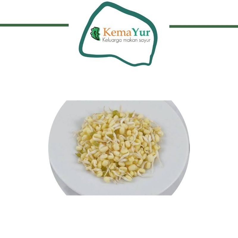 

KECAMBAH TOGE TAUGE CAMBAH 250GR