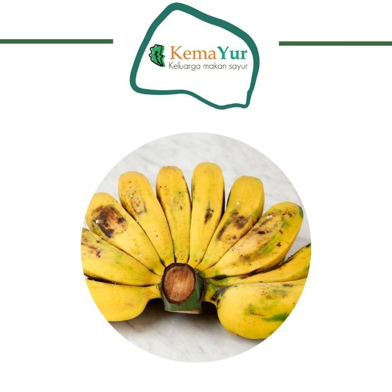 

PISANG KEPOK 1 SISIR