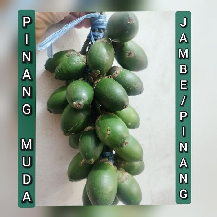 

Ready stok buah pinang ceming BUAH PINANG MUDA FRESH Herbal stamina - 5 BIJI