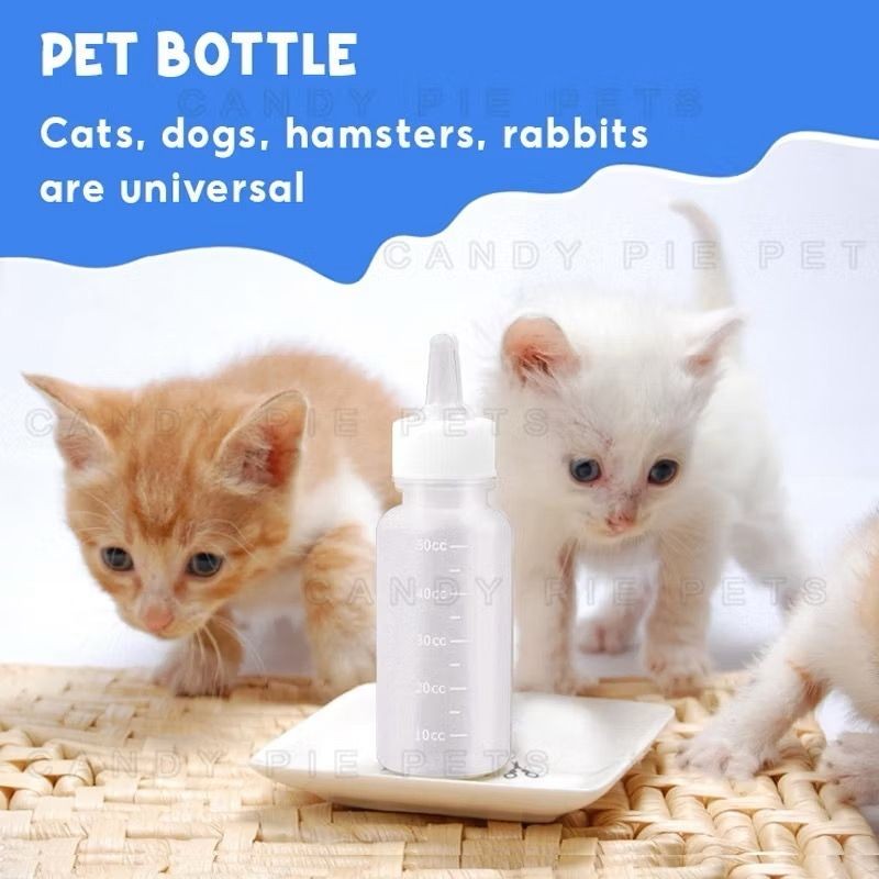 DOT ANAK KUCING BARU LAHIR BOTOL KUCING ANJING + DOT