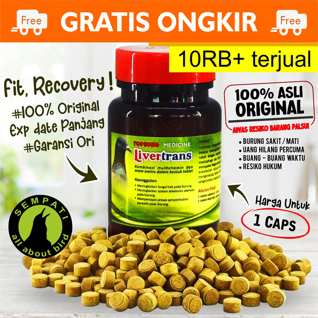SEMPATI LIVERTRANS TOPSONG TOP SONG LIVERTRAN MULTIVITAMIN MERPATI PIL BURUNG MERPATI DARA JAMU OBAT