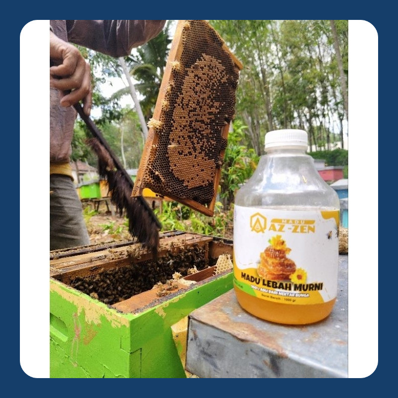 

MADU BUNGA KOPI KUALITAS A1 PREMIUM , PENGOBATAN SEPUTAR PARU PARU, MADU AZ-ZEN DI JAMIN ASLI DARI NEKTAR BUNGA KOPI PREMIUM