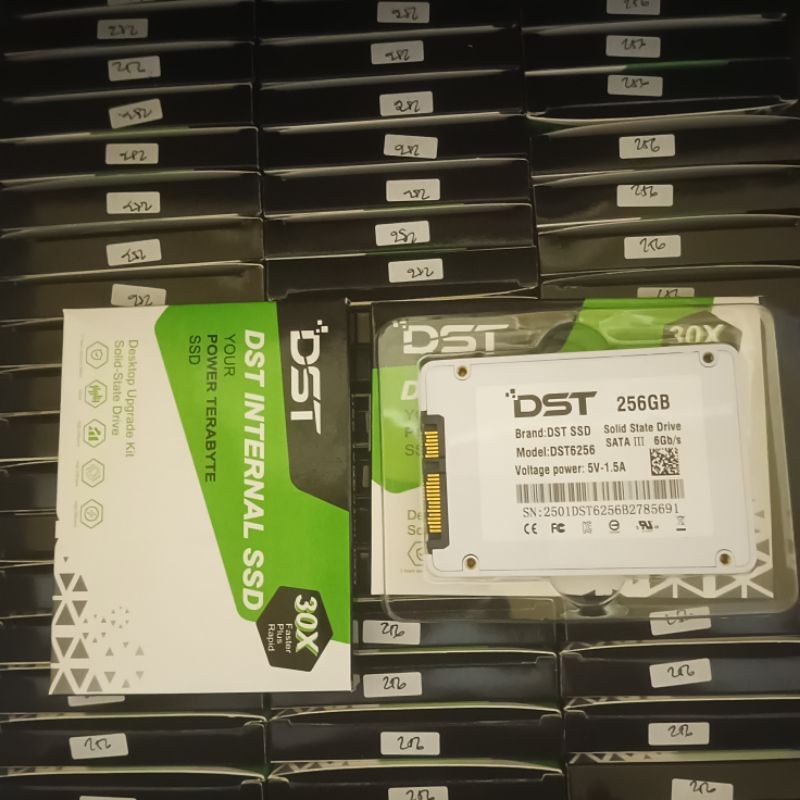 SSD 256GB DST SATA III GARANSI RESMI
