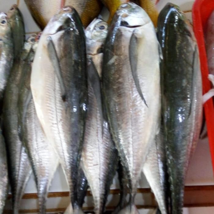 

Ikan Tengkek 500gr