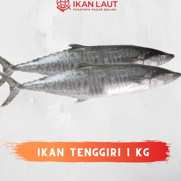 

IKAN TENGGIRI / TENGIRI HASIL LAUT SEGAR FRESH