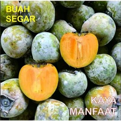 

1kg BUAH KESEMEK MANIS / persimmons / tledung / - besar/super